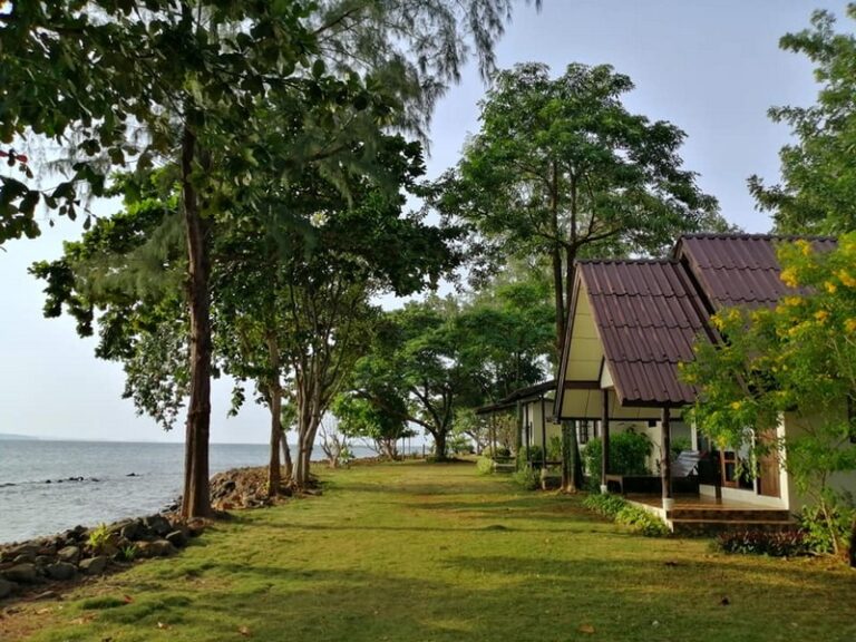 ta lay time16 768x576