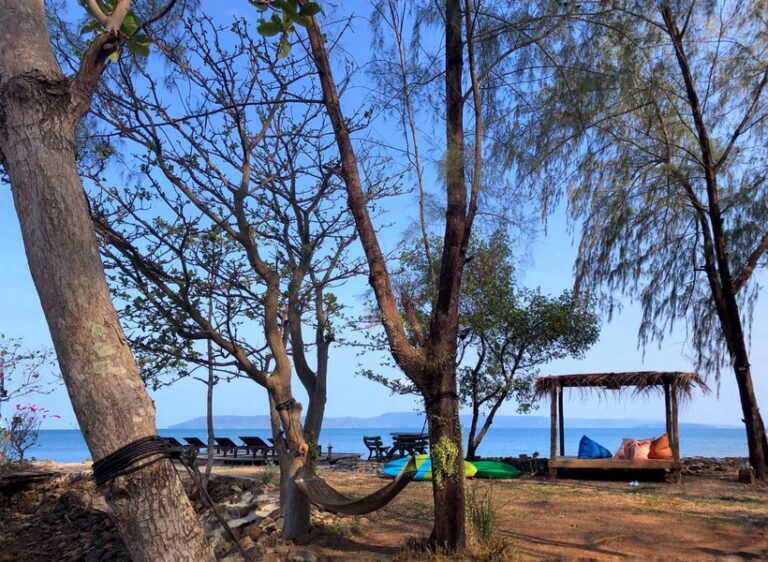 ta lay time20 768x562