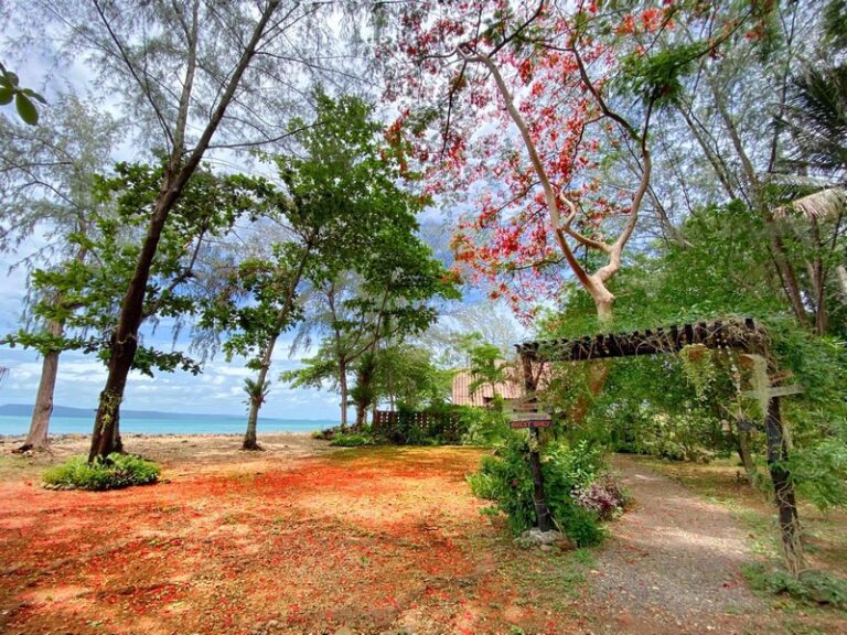 ta lay time22 768x576