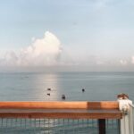 the marina sea08 150x150