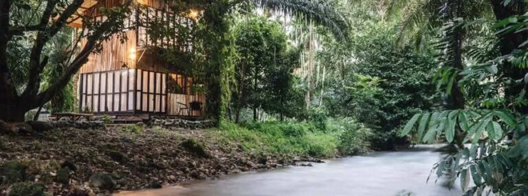 tonphet greenery 01 768x285