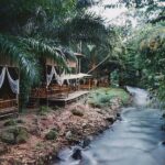 tonphet greenery 02 150x150