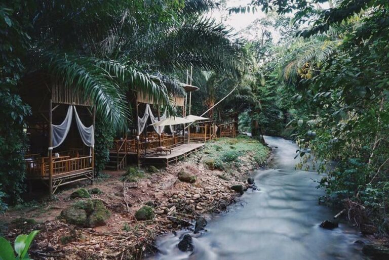 tonphet greenery 02 768x514