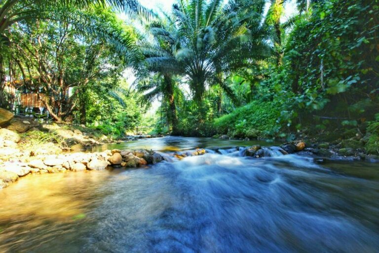 tonphet greenery 04 768x512