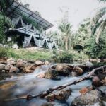 tonphet greenery 06 150x150
