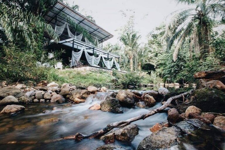 tonphet greenery 06 768x512