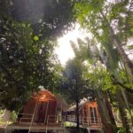 tonphet greenery 08 150x150