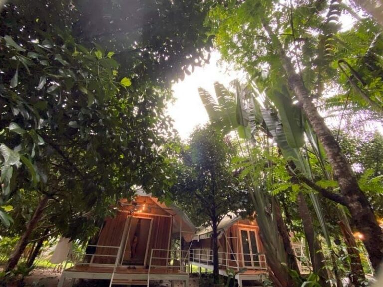 tonphet greenery 08 768x576