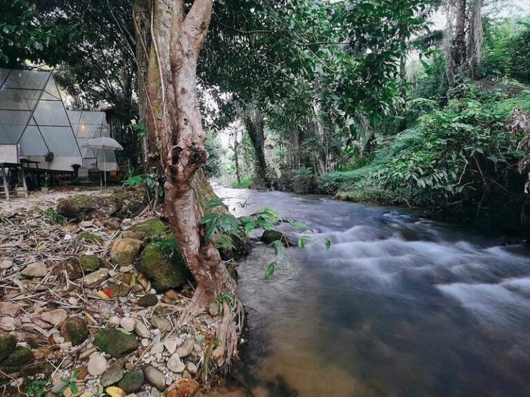 tonphet greenery 24 768x576