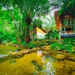 tonphet greenery 25 150x150