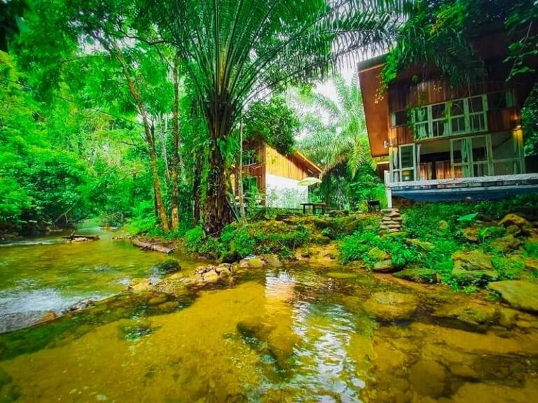 tonphet greenery 25 768x576