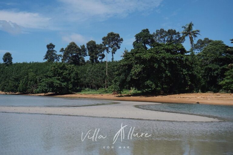 villa allure01 768x511