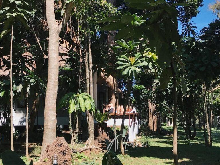 villa allure07 768x576