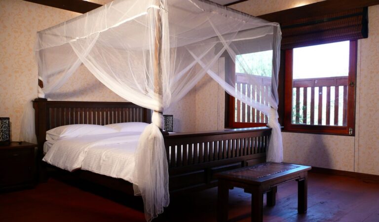 green gecko 07 768x450