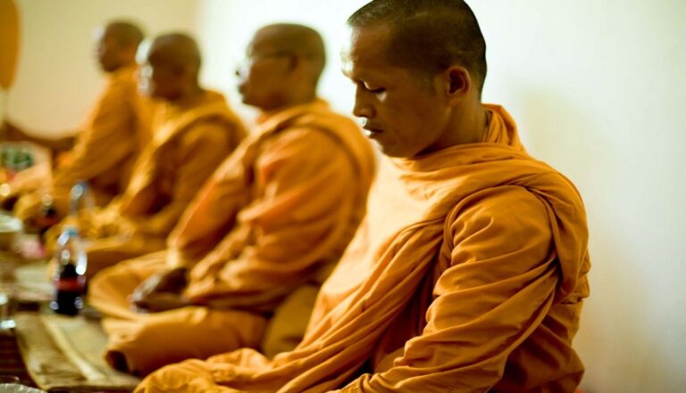 green gecko 11 768x441