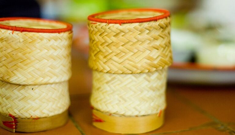 green gecko 13 768x441